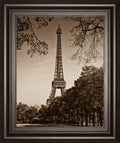 An Afternoon Stroll-pari By Maihara - Real Glass - Light Brown