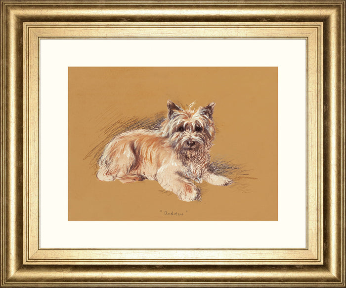 Andrew By Mac - Framed Print Wall Art - Beige