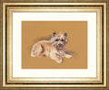 Andrew By Mac - Framed Print Wall Art - Beige