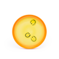 BABY PLATE - SUN