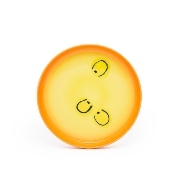 BABY PLATE - SUN