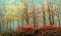 Beeches In The Mist By Lars Van De Goor - Light Blue