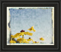 Blackeyed Susan's I By Meghan Mc Sweeney - Framed Print Wall Art - Light Blue