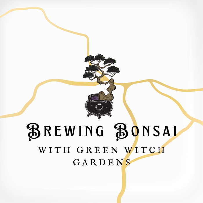 Brewing Bonsai at Original Gravity Brewing Co. - 10/7/26 at 6:30pm