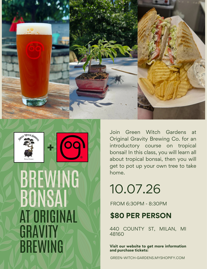 Brewing Bonsai at Original Gravity Brewing Co. - 10/7/26 at 6:30pm