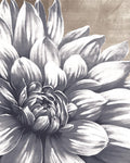 Charming Floral I By Dogwood Portfolio - Dark Gray