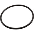 CMP POWERCLEAN ULTRA CHLORINATOR COVER ORING 0-14 (BB8)