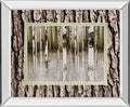 Fern Creek By Susan Jill Double Matted - Mirrored Framed Wall Art - Light Brown