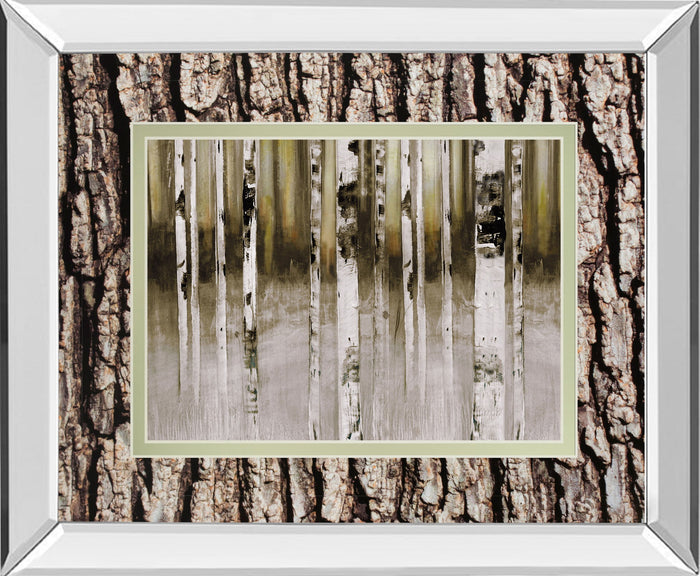 Fern Creek By Susan Jill Double Matted - Mirrored Framed Wall Art - Light Brown