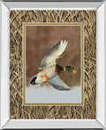 Flying Mallard By Steve Oehlenschlager Mirror Framed Mossy Oak Native Living Print - Light Brown