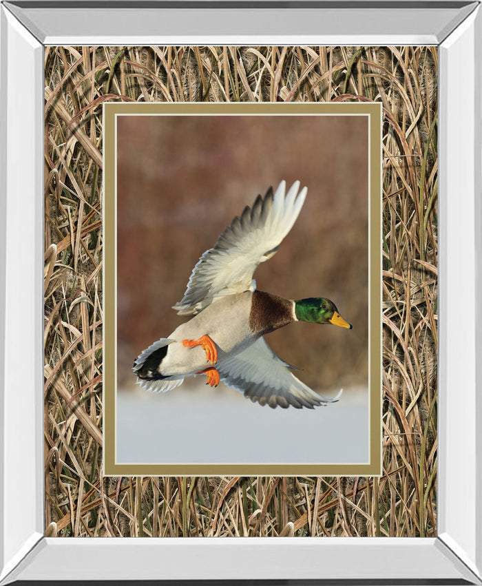 Flying Mallard By Steve Oehlenschlager Mirror Framed Mossy Oak Native Living Print - Light Brown