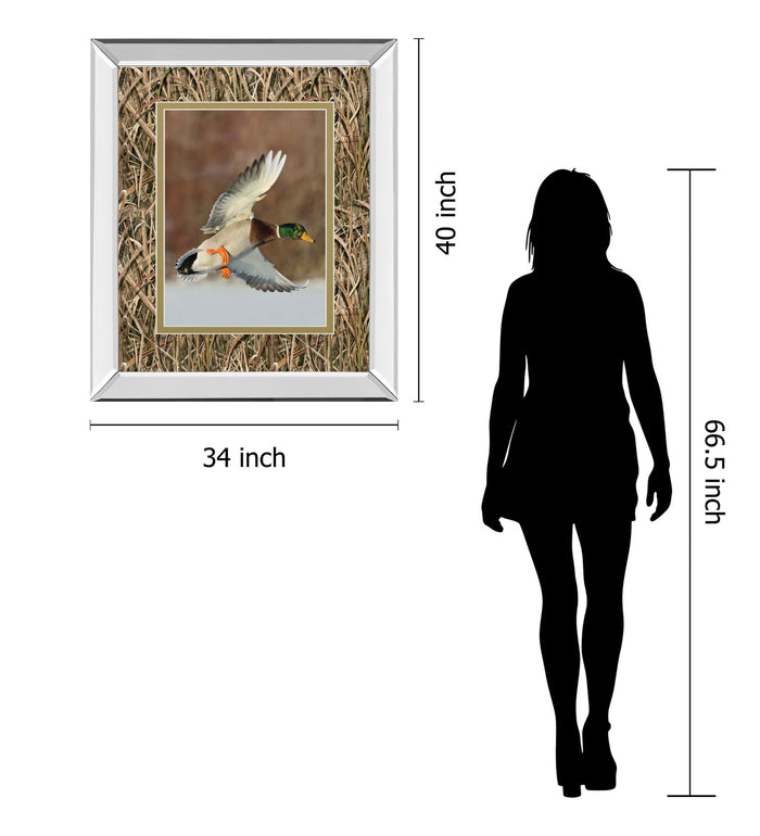 Flying Mallard By Steve Oehlenschlager Mirror Framed Mossy Oak Native Living Print - Light Brown
