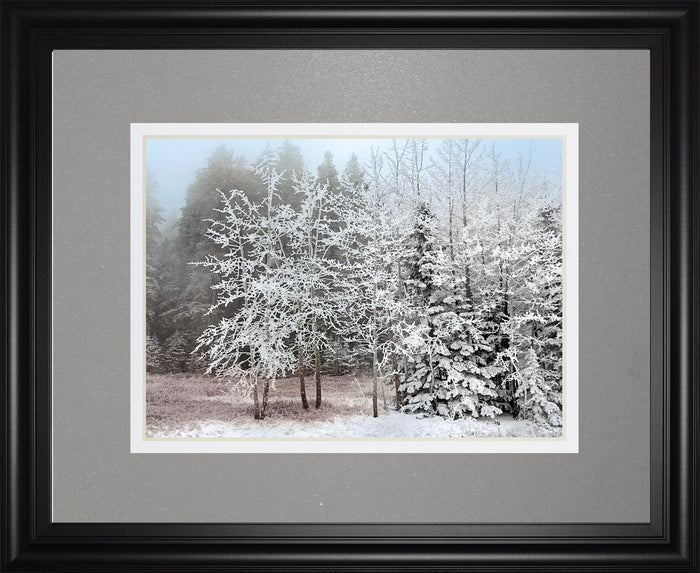 Frosty Morning By Mike Jone - Framed Print Wall Art - Gray
