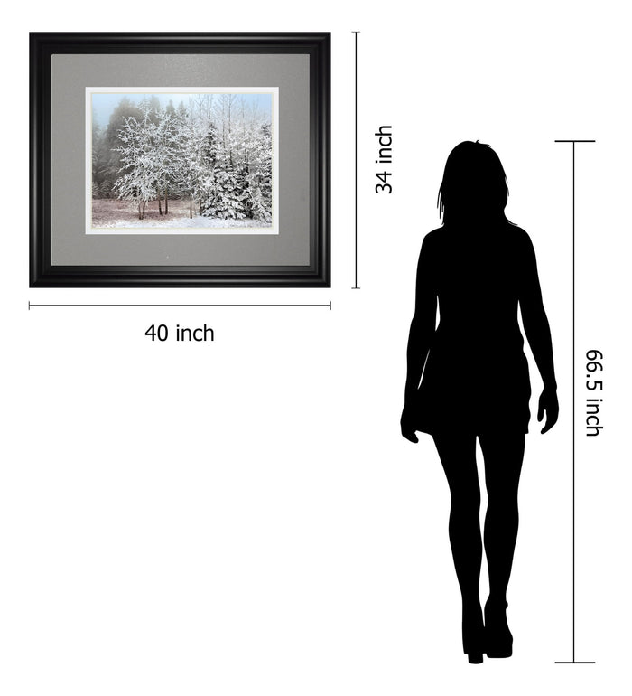 Frosty Morning By Mike Jone - Framed Print Wall Art - Gray