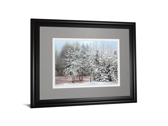 Frosty Morning By Mike Jone - Framed Print Wall Art - Gray