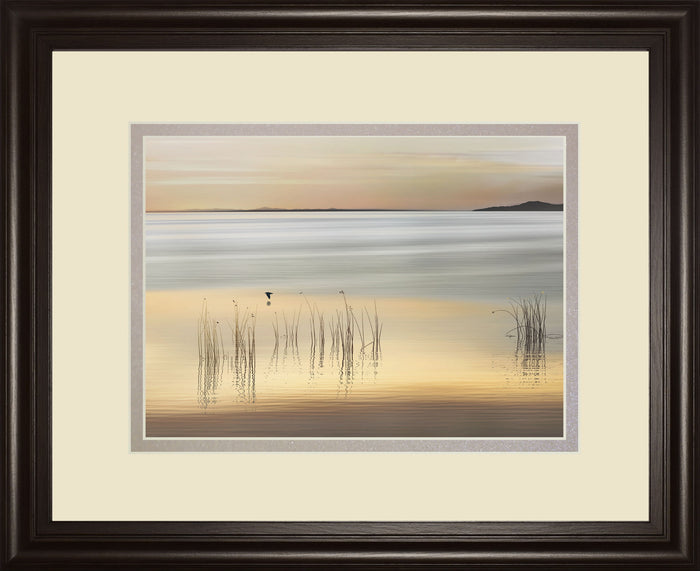 Golden By Marvin Pelkey - Framed Print Wall Art - Beige