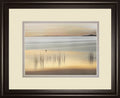 Golden By Marvin Pelkey - Framed Print Wall Art - Beige