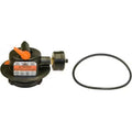 HAYWARD MANUAL AIR REFLIEF ASSEMBLY W/ORING (SH5)
