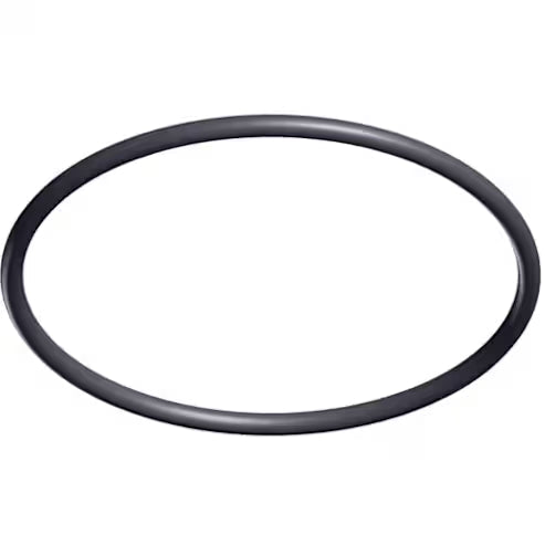 HAYWARD STRAINER COVER ORING (BB3) SIZE: 0-218