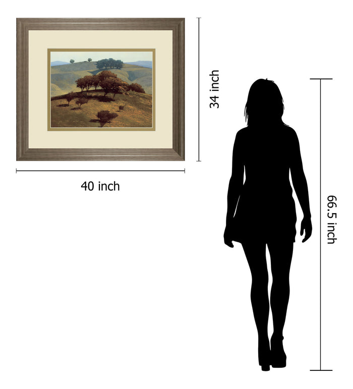 Hills Near Chico By N. Bohne - Framed Print Wall Art - Light Brown