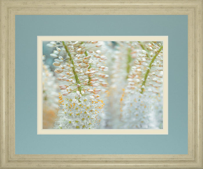 Humbled By Frank Assaf - Framed Print Wall Art - Light Blue