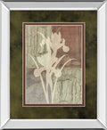 Iris Silhouette By Various - Mirror Framed Print Wall Art - Light Brown
