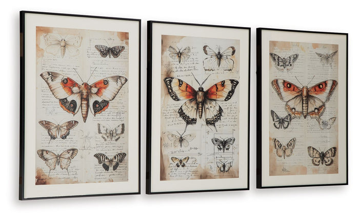 Jossletts - Wall Art Set (Set of 3) - Orange / Black / Ivory