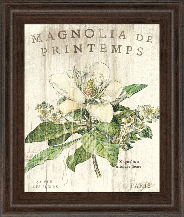 Magnolia De Printemps By Sue Schlabach - Framed Print Wall Art - Beige