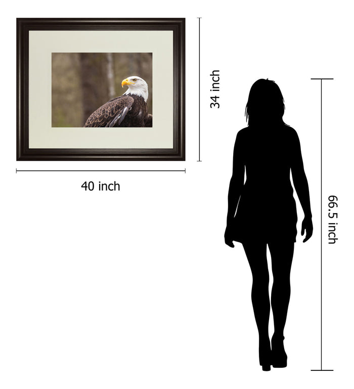 Majestic Eagle By Garytog Double Matted - Framed Print Wall Art - Light Brown