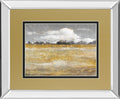 Meadow Shimmer Il By Nan - Mirror Framed Print Wall Art - Light Brown