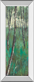Nature Companion Il By Solis - Mirror Framed Print Wall Art - Green