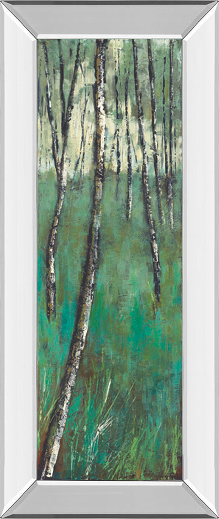 Nature Companion Il By Solis - Mirror Framed Print Wall Art - Green