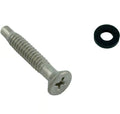 PENTAIR PILOT SCREW SS /WASHER (BB9)