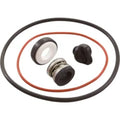 POLARIS ORING SET W/DRAIN PLUG PB4SQ R0734300(CC4)