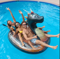 POOL CANDY BLACK GLITTER DRAGON 8FT