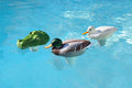 POOLMASTER CHLORINE DISPENSER MALLARD 32130