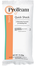 PROTEAM QUICK SHOCK 1lb POUCH C002319-CS20P