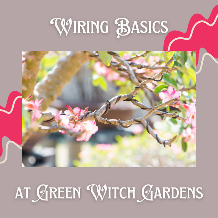 Wiring Basics