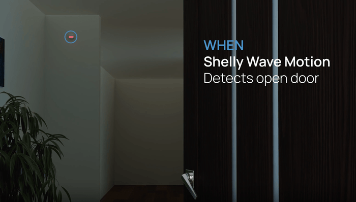 Z - Wave Shelly Wave Motion - Vesternet
